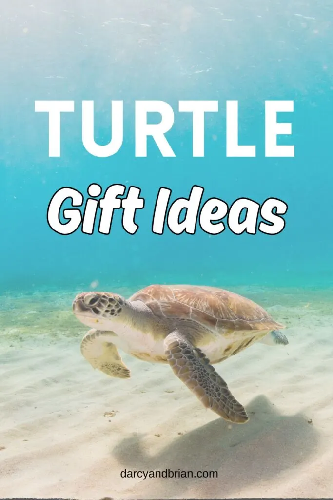 White text says Turtle Gift Ideas over a picture of a sea turtle swimming under the ocean close to the sandy floor.