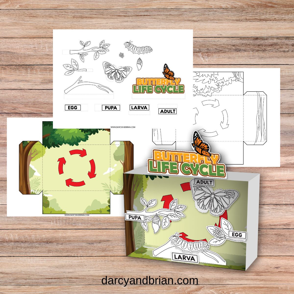 butterfly-life-cycle-project-for-kids-fun-3d-diorama-printable