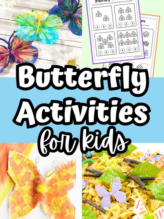 Image collage with coffee filter butterflies, counting worksheets, a paper plate craft, and a sensory bin. White text outlined with black on a light blue background in the middle says Butterfly Activities for Kids.