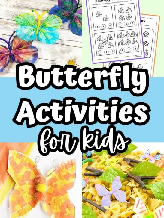 Image collage with coffee filter butterflies, counting worksheets, a paper plate craft, and a sensory bin. White text outlined with black on a light blue background in the middle says Butterfly Activities for Kids.